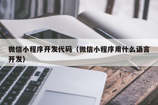微信小程序開發(fā)代碼(微信小程序用什么語言開發(fā))