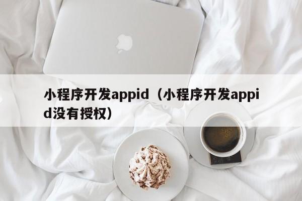 小程序開發(fā)appid(小程序開發(fā)appid沒有授權(quán))