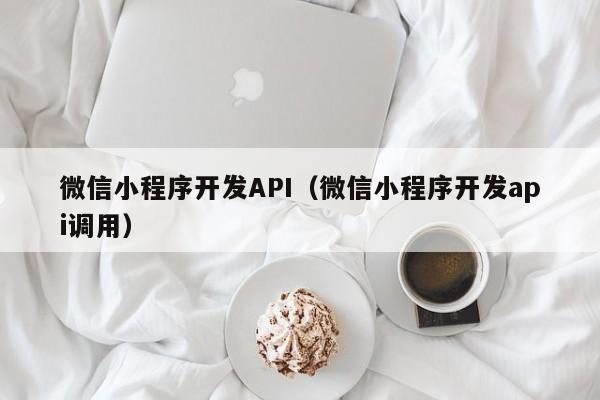 微信小程序開(kāi)發(fā)API(微信小程序開(kāi)發(fā)api調(diào)用)