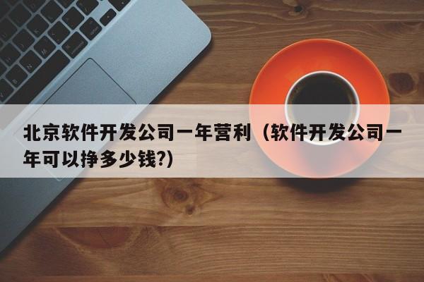 北京軟件開發(fā)公司一年?duì)I利(軟件開發(fā)公司一年可以掙多少錢?)