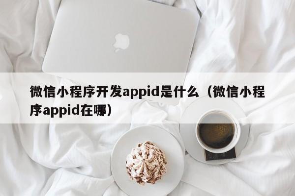 微信小程序開發(fā)appid是什么(微信小程序appid在哪)