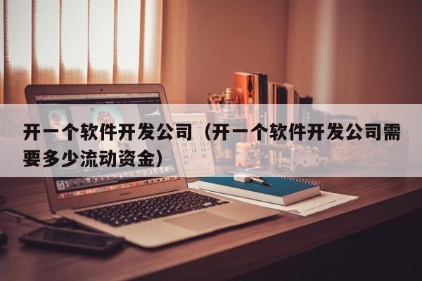 開一個軟件開發(fā)公司(開一個軟件開發(fā)公司需要多少流動資金)