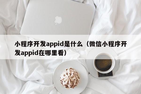 小程序開發(fā)appid是什么(微信小程序開發(fā)appid在哪里看)