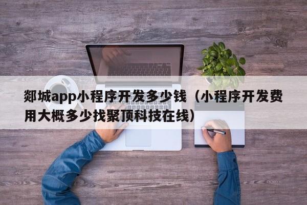 郯城app小程序開發(fā)多少錢(小程序開發(fā)費用大概多少找聚頂科技在線)