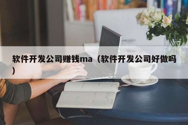 軟件開發(fā)公司賺錢ma(軟件開發(fā)公司好做嗎)