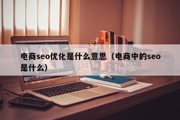 電商seo優(yōu)化是什么意思(電商中的seo是什么)