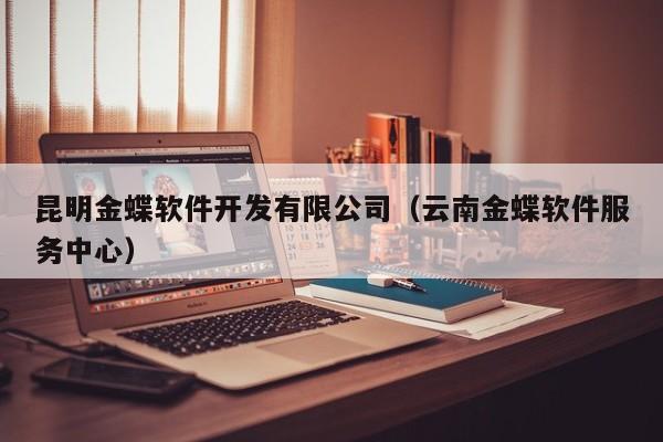 昆明金蝶軟件開發(fā)有限公司(云南金蝶軟件服務(wù)中心)