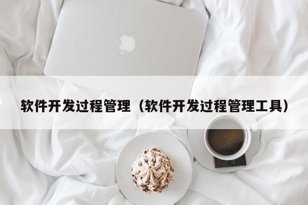 軟件開發(fā)過(guò)程管理(軟件開發(fā)過(guò)程管理工具)