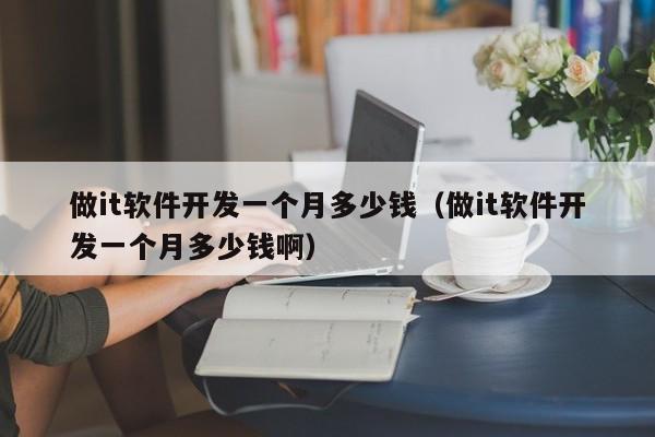做it軟件開發(fā)一個月多少錢(做it軟件開發(fā)一個月多少錢啊)
