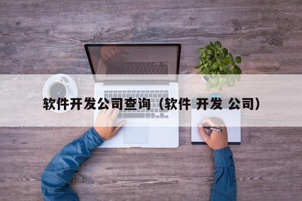 軟件開發(fā)公司查詢(軟件 開發(fā) 公司)