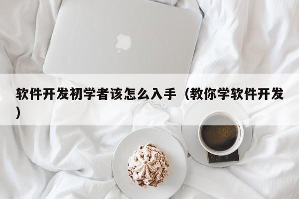 軟件開發(fā)初學者該怎么入手(教你學軟件開發(fā))
