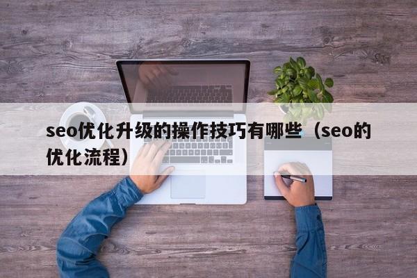 seo優(yōu)化升級的操作技巧有哪些(seo的優(yōu)化流程)
