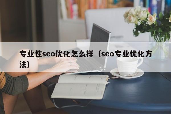 專業(yè)性seo優(yōu)化怎么樣(seo專業(yè)優(yōu)化方法)