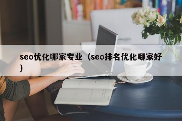 seo優(yōu)化哪家專業(yè)(seo排名優(yōu)化哪家好)