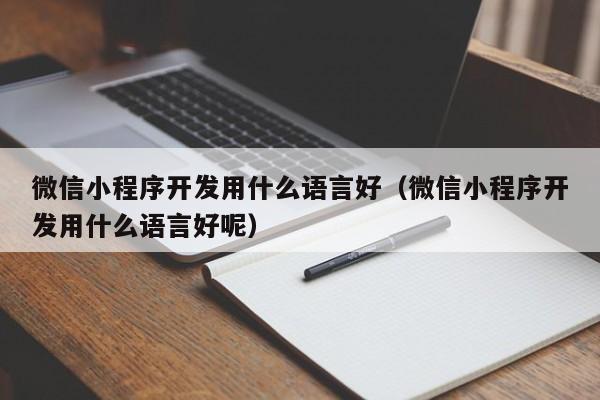 微信小程序開發(fā)用什么語言好(微信小程序開發(fā)用什么語言好呢)