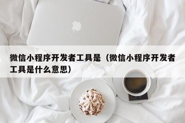 微信小程序開發(fā)者工具是(微信小程序開發(fā)者工具是什么意思)