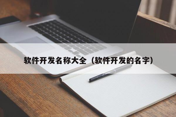 軟件開發(fā)名稱大全(軟件開發(fā)的名字)