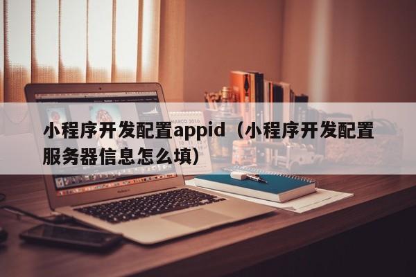 小程序開發(fā)配置appid(小程序開發(fā)配置服務(wù)器信息怎么填)
