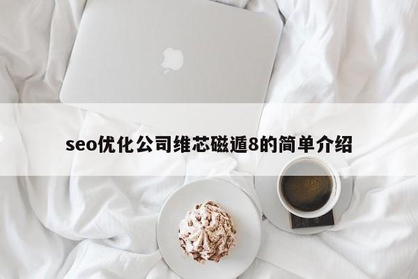 seo優(yōu)化公司維芯磁遁8的簡(jiǎn)單介紹
