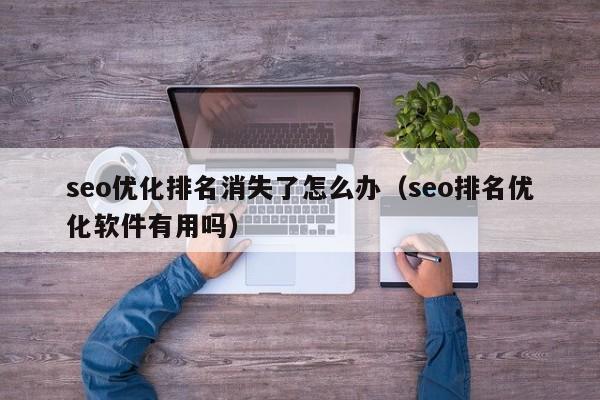 seo優(yōu)化排名消失了怎么辦(seo排名優(yōu)化軟件有用嗎)