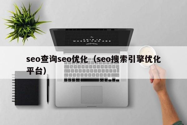 seo查詢seo優(yōu)化(seo搜索引擎優(yōu)化平臺)