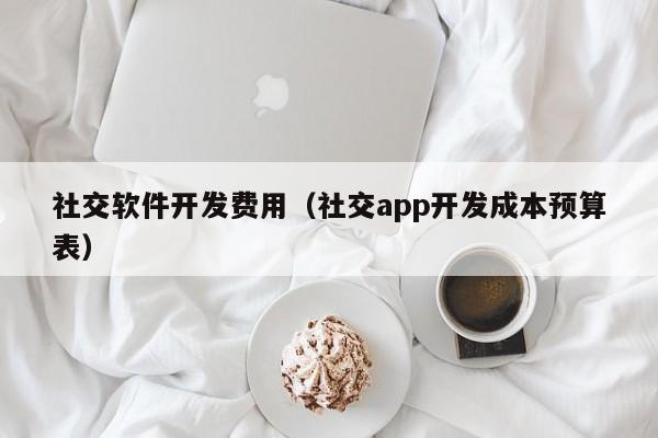 社交軟件開發(fā)費(fèi)用(社交app開發(fā)成本預(yù)算表)
