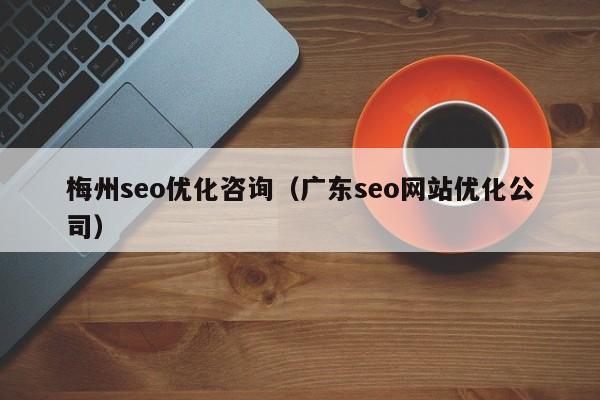 梅州seo優(yōu)化咨詢(廣東seo網(wǎng)站優(yōu)化公司)