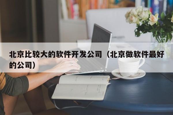 北京比較大的軟件開(kāi)發(fā)公司(北京做軟件最好的公司)
