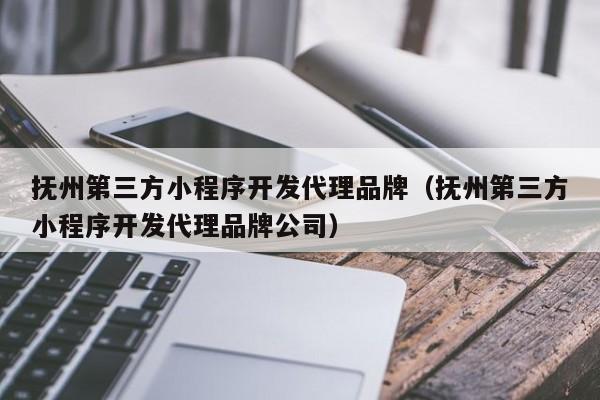 撫州第三方小程序開發(fā)代理品牌(撫州第三方小程序開發(fā)代理品牌公司)