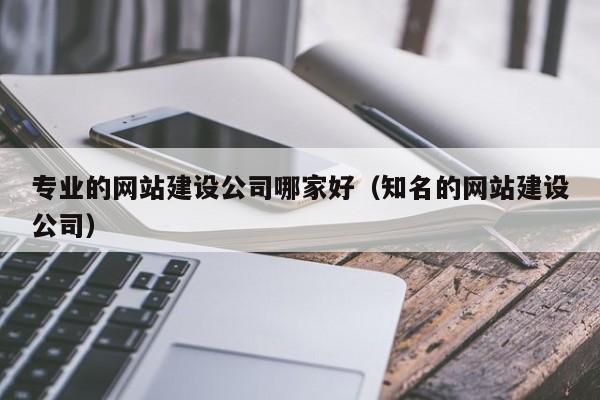 專業(yè)的網(wǎng)站建設公司哪家好(知名的網(wǎng)站建設公司)